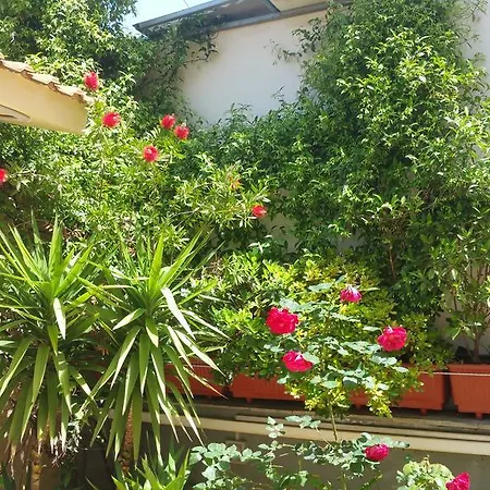 Anna Appartement